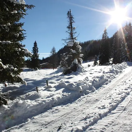 Huettentraum Chalet *