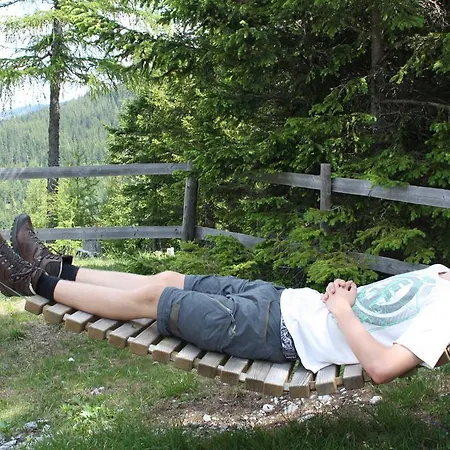 Huettentraum Flattnitz