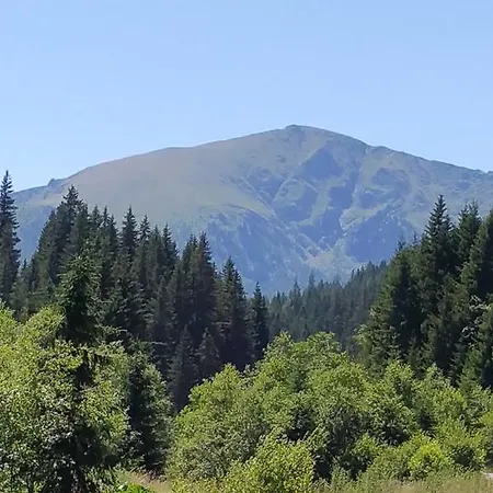 Chalet Huettentraum Flattnitz