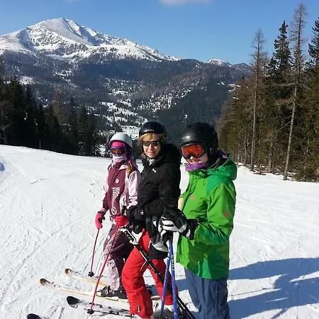 Huettentraum Flattnitz