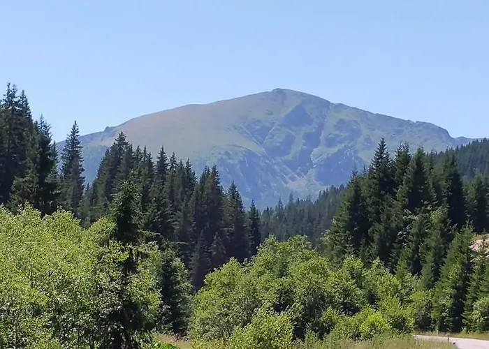 木屋 Huettentraum Flattnitz